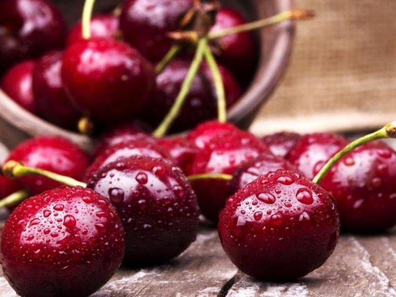 Вишня купить саженцы из питомника в Волжске